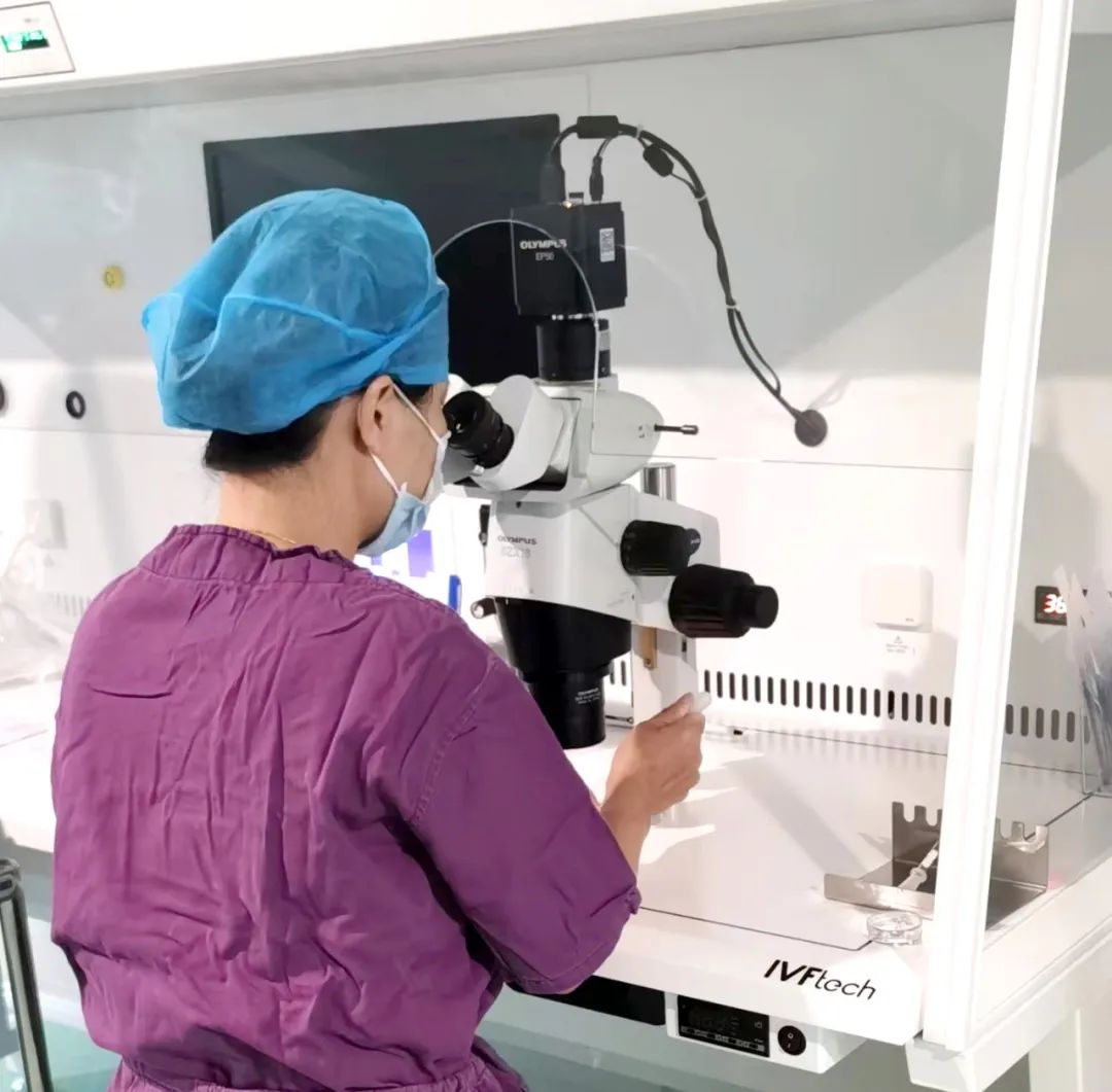 【喜訊】保山首例無精子癥通過試管嬰兒技術(shù)助孕成功！